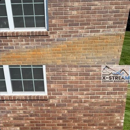 The Homeowner’s Guide to Combating Mold, Rust, and Clay Stains in Macomb County and Surrounding Areas