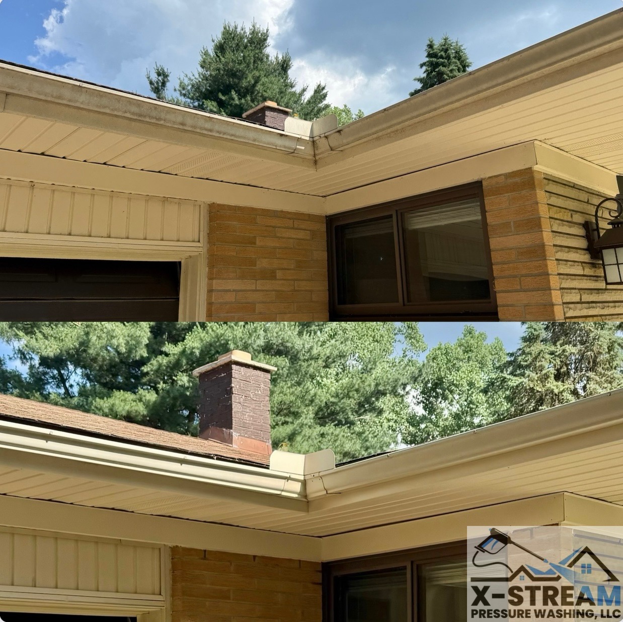Professional Gutter Soft Washing Services - Lake Orion, Michigan