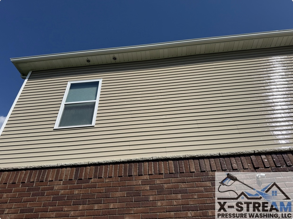 Professional Residential Soft Washing in Almont, MI