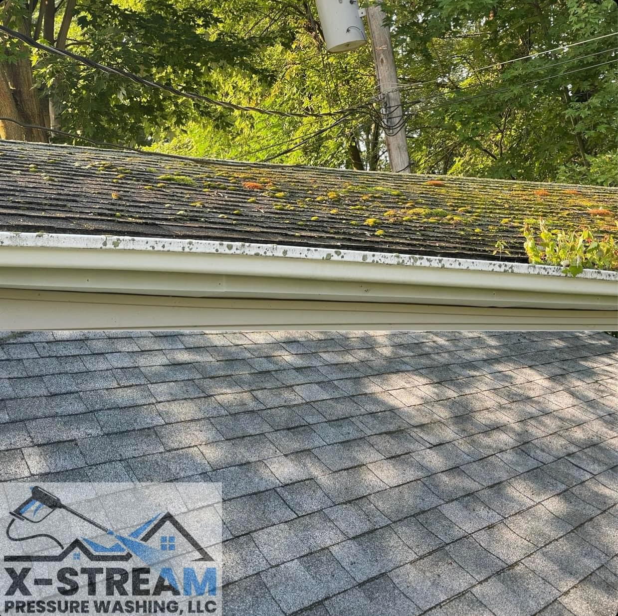 Specialized Roof Soft Washing for Homes in Harrison Township, MI